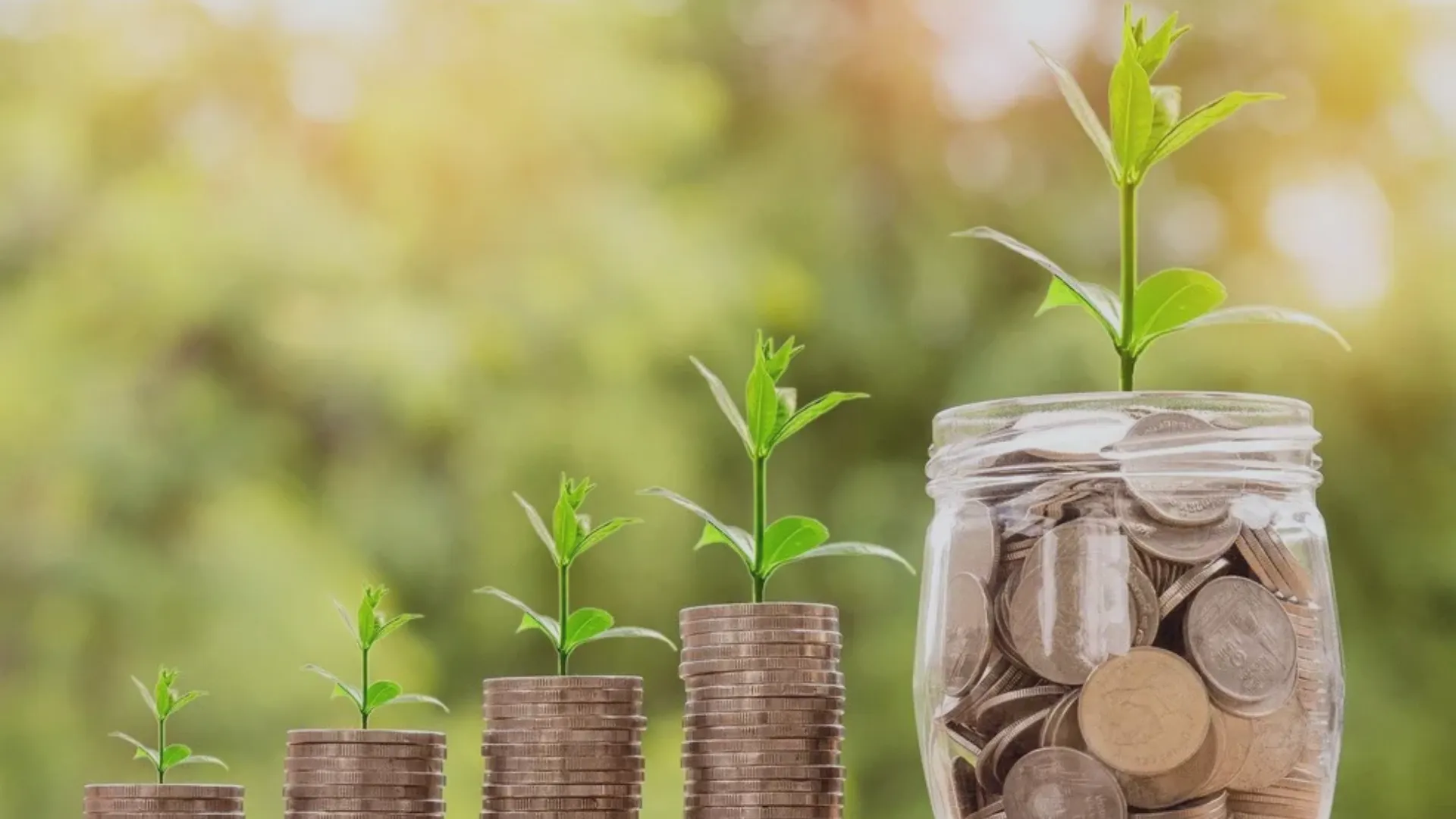 O mercado de finanças sustentáveis no Brasil