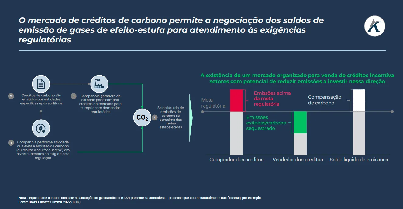 quais sao as principais pautas sobre o mercado de credito de carbono 02 - Principais pautas sobre o Mercado de Crédito de Carbono