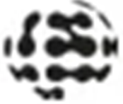 Logo da Superstruct