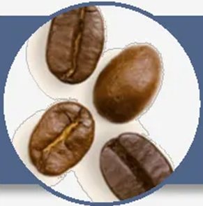Grãos de café arábica