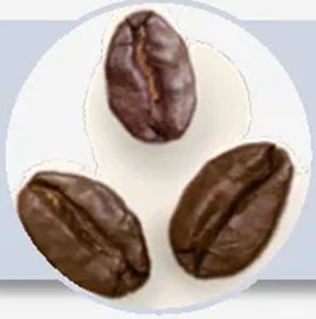 Grãos de café libérica