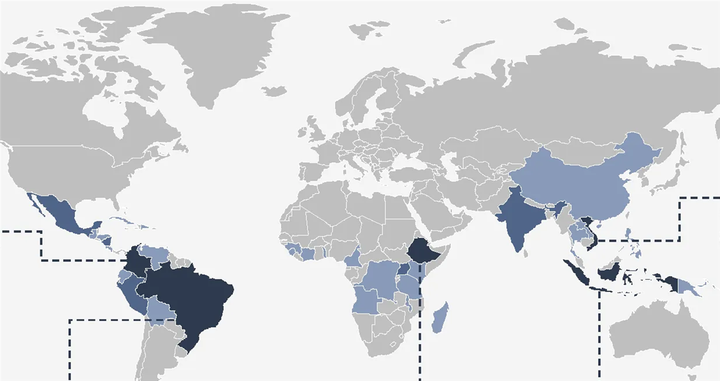 Mapa-múndi destacando os principais países produtores de café, concentrados na faixa tropical: Brasil, Colômbia, Etiópia, Vietnã e Indonésia em azul-escuro, além de outros produtores na América Central, África, Índia e Sudeste Asiático