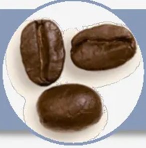 Grãos de café robusta