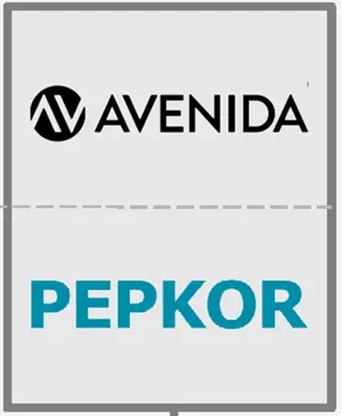 2022: Avenida (target) e Pepkor (investidor)