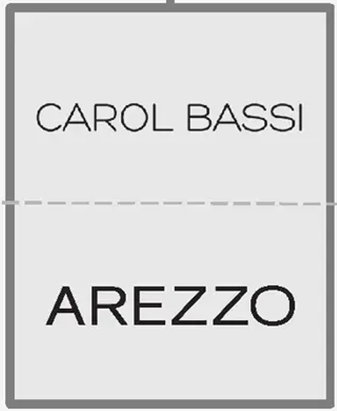 2021: Carol Bassi (target) e Arezzo (investidor)