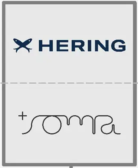 2021: Hering (target) e Soma (investidor)