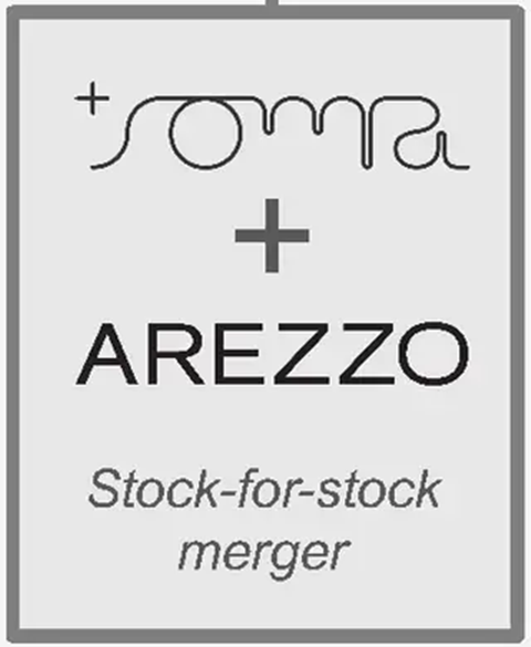 2024: Soma + Arezzo, stock-for-stock merger