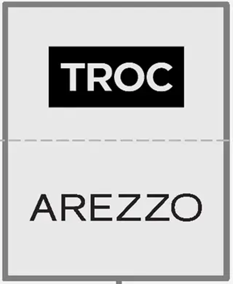 2020: TROC (target) e Arezzo (investidor)