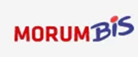 Logo: MorumBIS