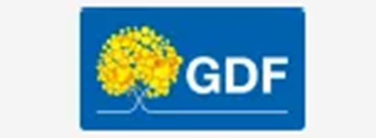 Logo: GDF – Governo do Distrito Federal