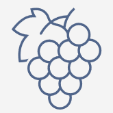 Ícone de cacho de uvas