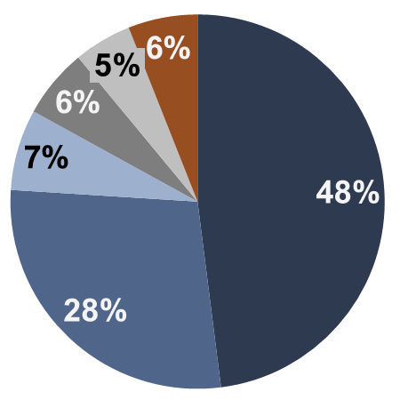 Pizza 2007–2020: Energia 48%, Petróleo e Gás Natural 28%, Mineração 7%, Indústria manufatureira 6%, Infraestrutura 5%, Outros 6%